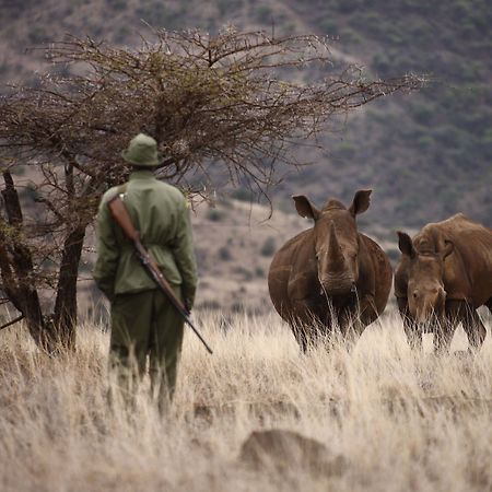 Elewana Lewa Safari Camp Hotel Timau Ngoại thất bức ảnh