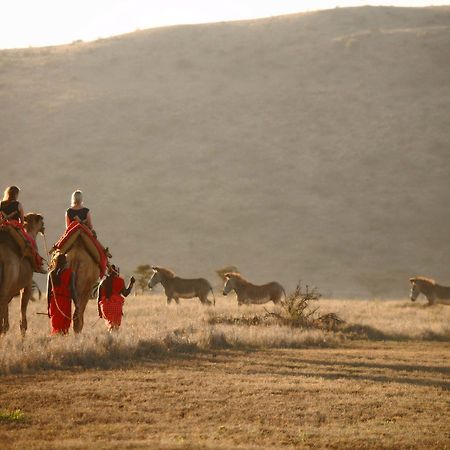 Elewana Lewa Safari Camp Hotel Timau Ngoại thất bức ảnh