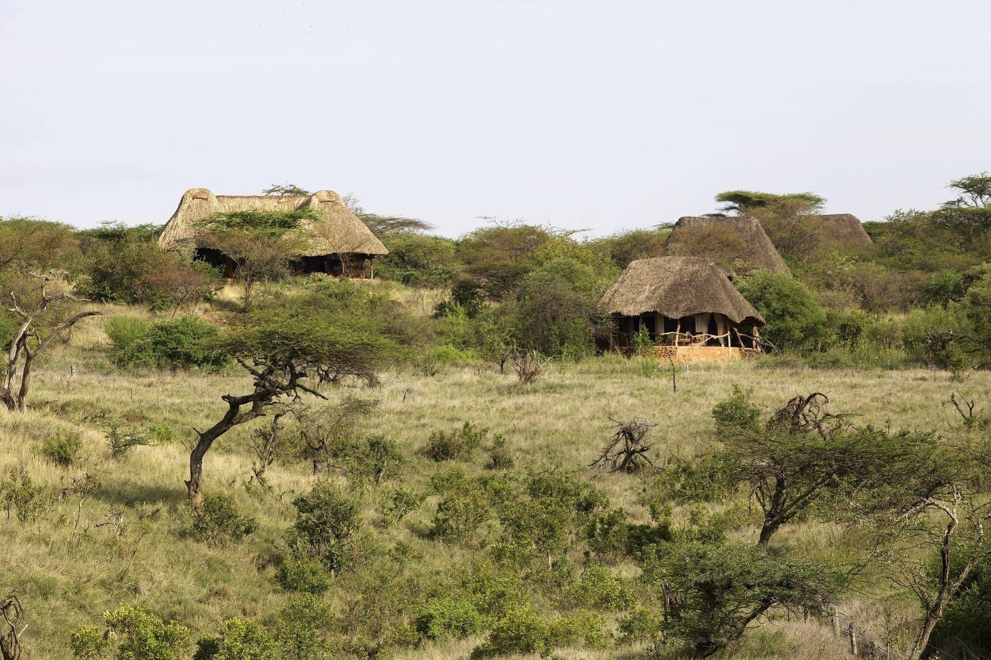 Elewana Lewa Safari Camp Hotel Timau Ngoại thất bức ảnh