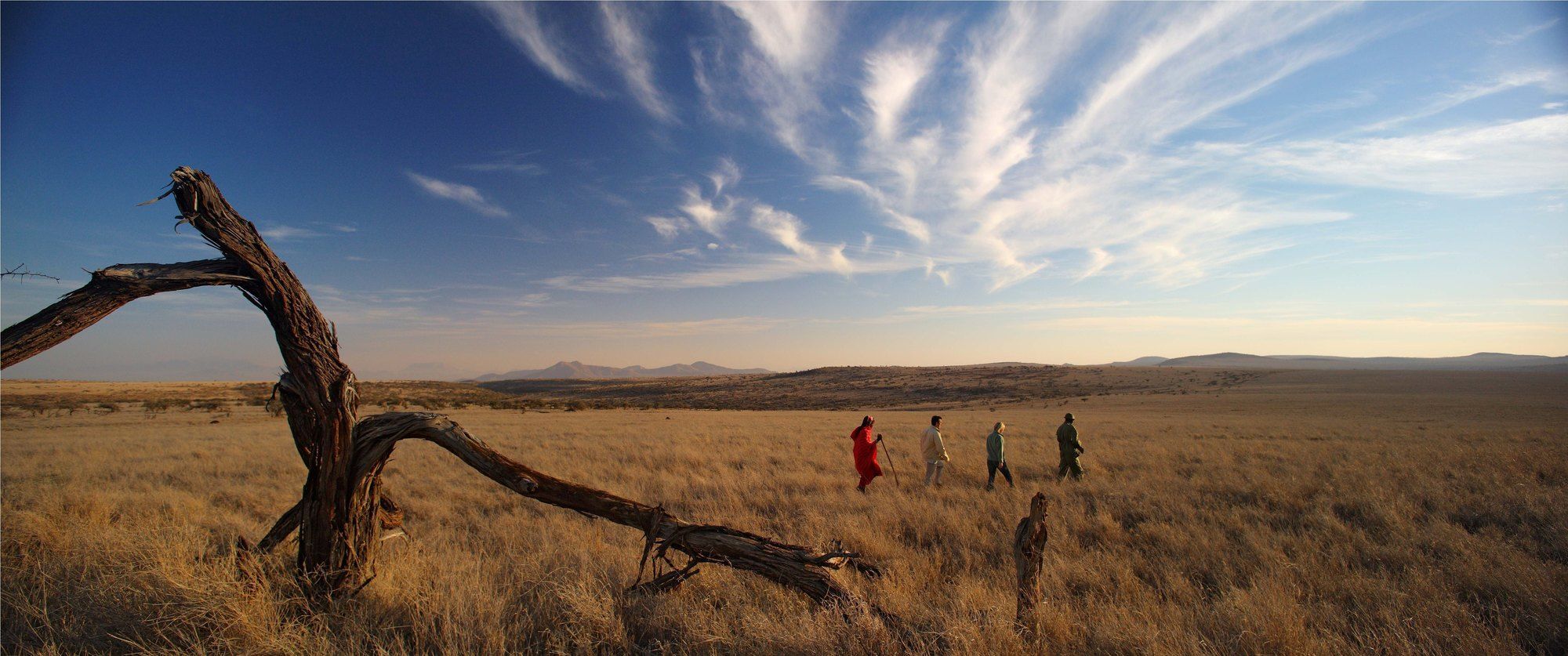 Elewana Lewa Safari Camp Hotel Timau Ngoại thất bức ảnh