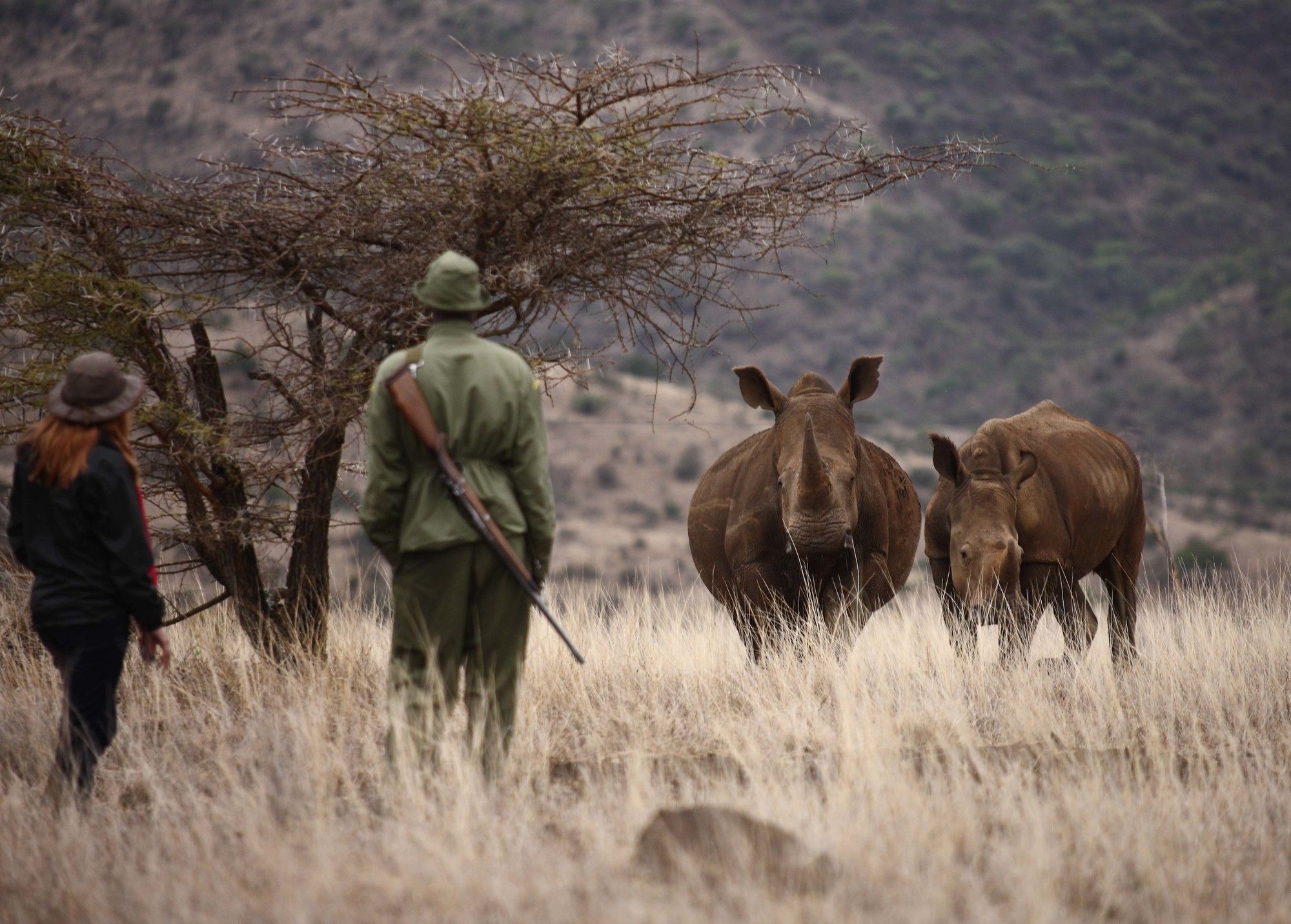 Elewana Lewa Safari Camp Hotel Timau Ngoại thất bức ảnh
