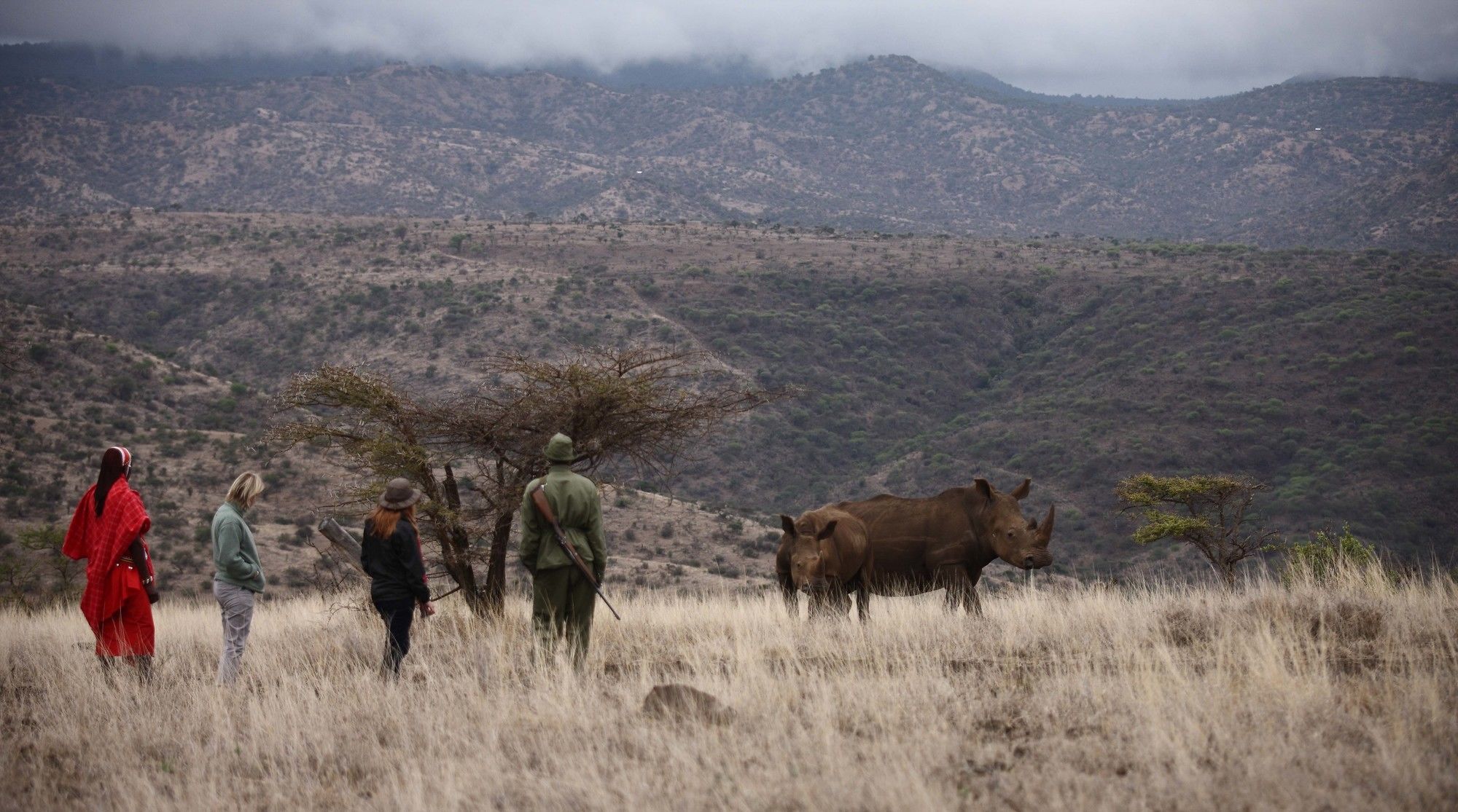 Elewana Lewa Safari Camp Hotel Timau Ngoại thất bức ảnh