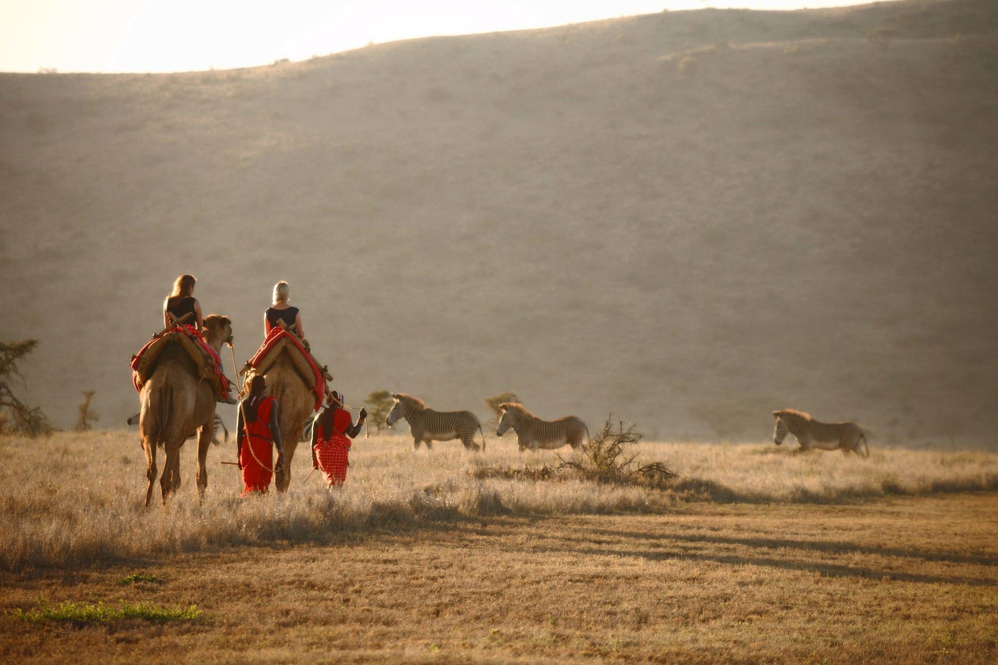 Elewana Lewa Safari Camp Hotel Timau Ngoại thất bức ảnh