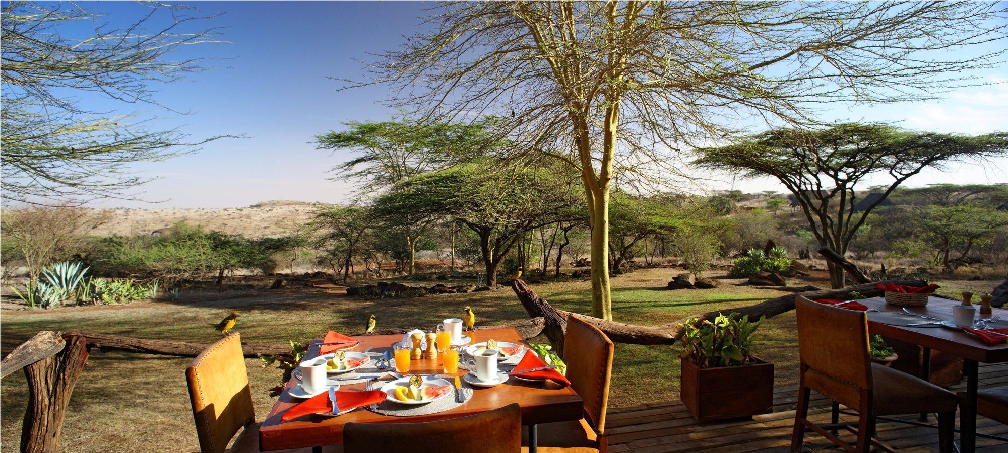 Elewana Lewa Safari Camp Hotel Timau Ngoại thất bức ảnh